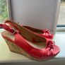 Coral Wedges Image 2