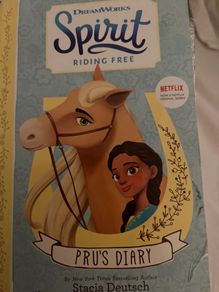Spirit riding free book