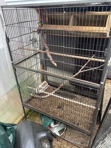 bird cage