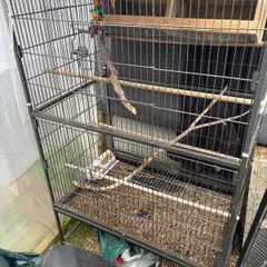 bird cage