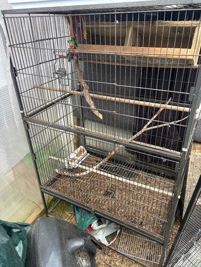 bird cage