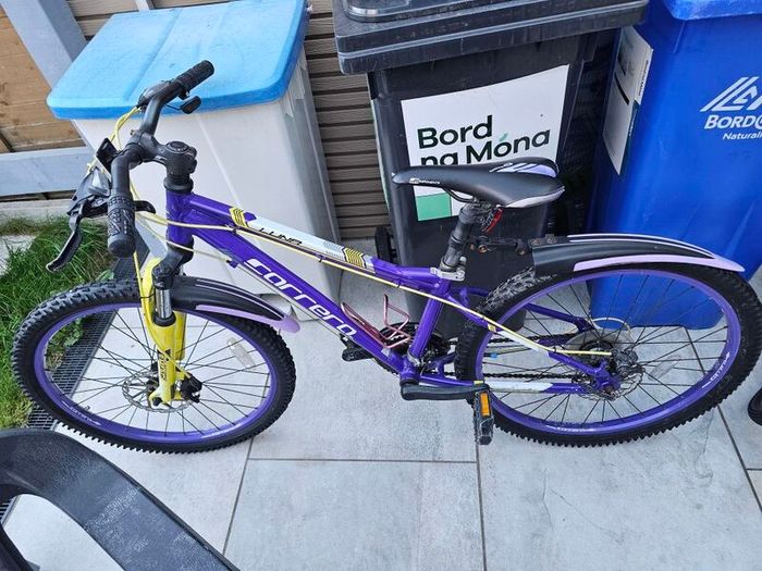 Carrera kids bicycle