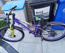 Carrera kids bicycle