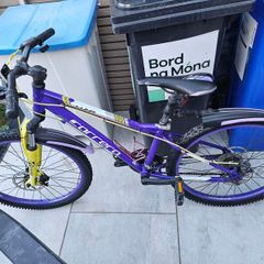 Carrera kids bicycle