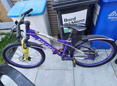 Carrera kids bicycle