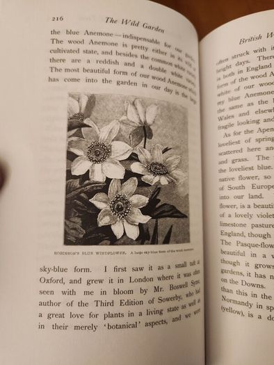 The Wild Garden. By William Robinson. Hardback With Dustjacket In Good Condition.
