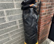 Punching bag & gloves
