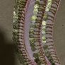 Belly dance sequined belt Image 2