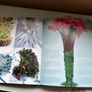 Flower Arrangement Book Image 2