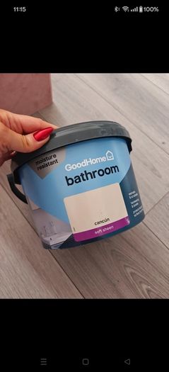 bathroom paint