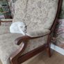 Single recliner and double couch set Image 3