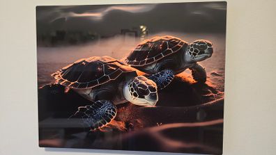 Aluminium photo panel
