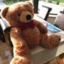 Large teddy Image 2