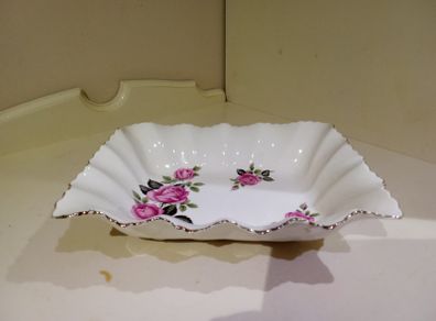 Dish