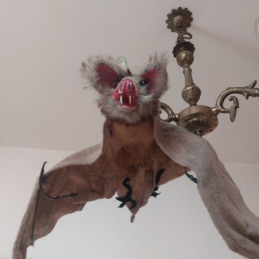 Halloween decorations