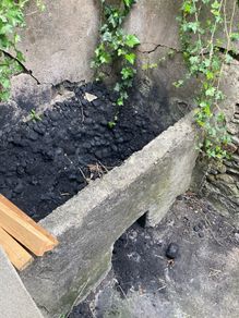Free wet black coal
