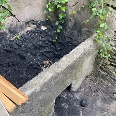 Free wet black coal