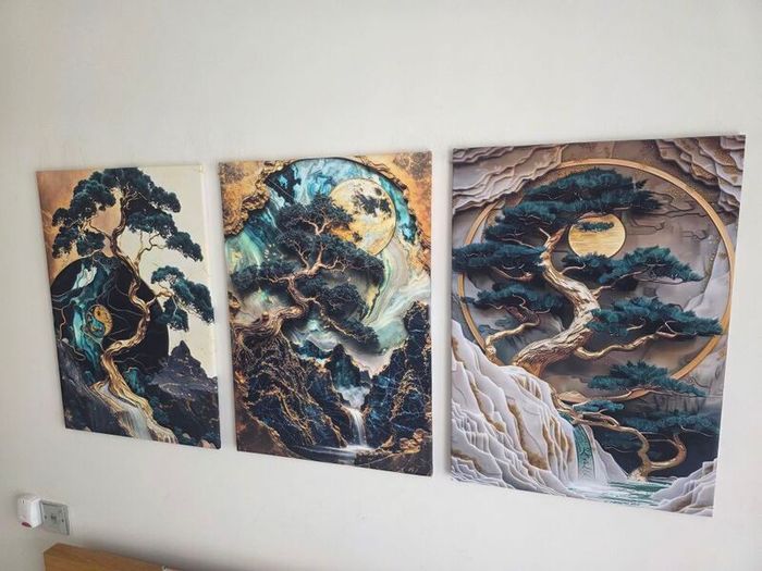3 framed canvas