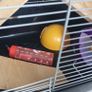 Cage Image 2