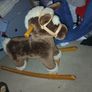 rocking horse Image 2