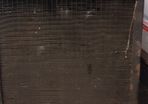 Ford 6600 radiator