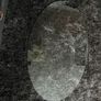 Glass tempered Image 2