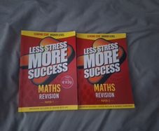 Less Stress More Success Maths
