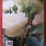 Roses/ A Care Manual/ Amanda Beales Image 2