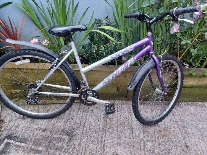 Womans mountain bike