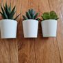 Ikea Mini Succulent Desk Plants Image 6