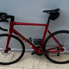 Colnago V4 Disc 2026 | Shimano Ultegra Di2