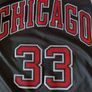 Chicago Bulls Scottie Pippen jersey Image 2
