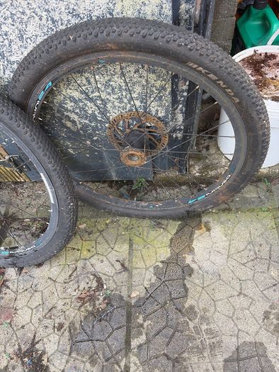 Bicycle wheels