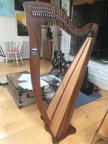 Muzikkon Mchugh Ayra Harp 38 sting.