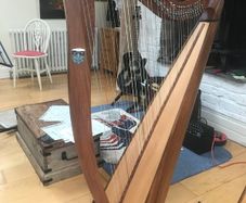 Muzikkon Mchugh Ayra Harp 38 sting.