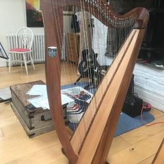 Muzikkon Mchugh Ayra Harp 38 sting.
