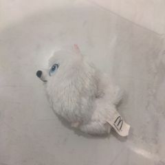 Secret Life of Pets - Gidget