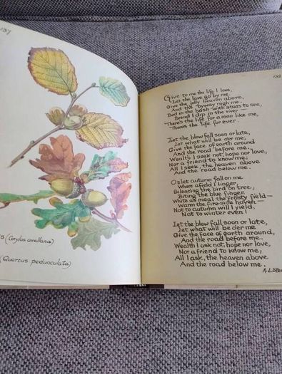 The Country Diary of an Edwardian Lady 1979 by Edith Holden in very good condition with some wear to the dustcover see photos FREE STANDARD POSTAGE INCLUDED