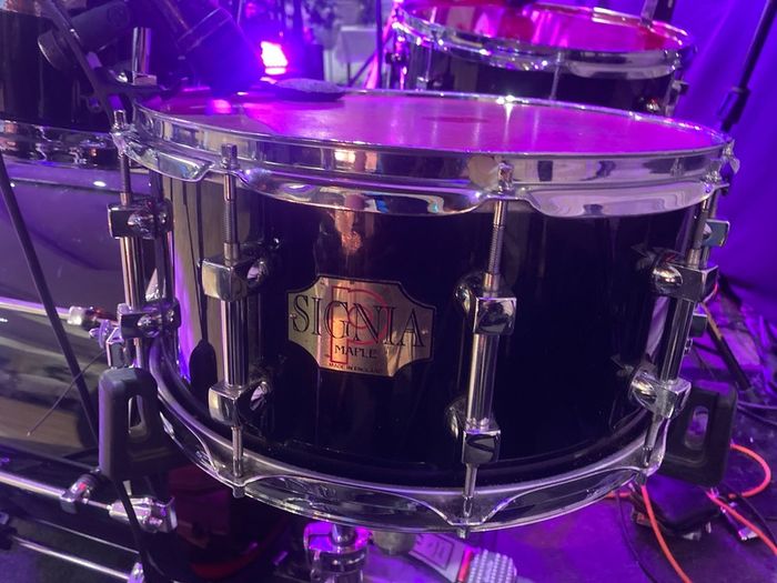 Premier Signia snare