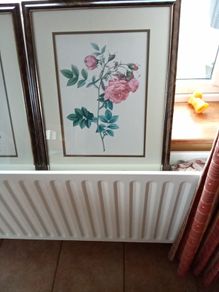 Framed Prints