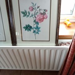 Framed Prints
