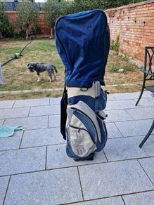 Ping Golf Bag