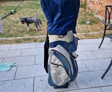 Ping Golf Bag