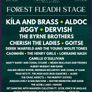 Adult weekend Forest Fest ticket Image 2