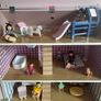 dollhouse Image 7