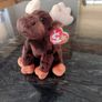 TY Beanie Baby Zeus Image 4