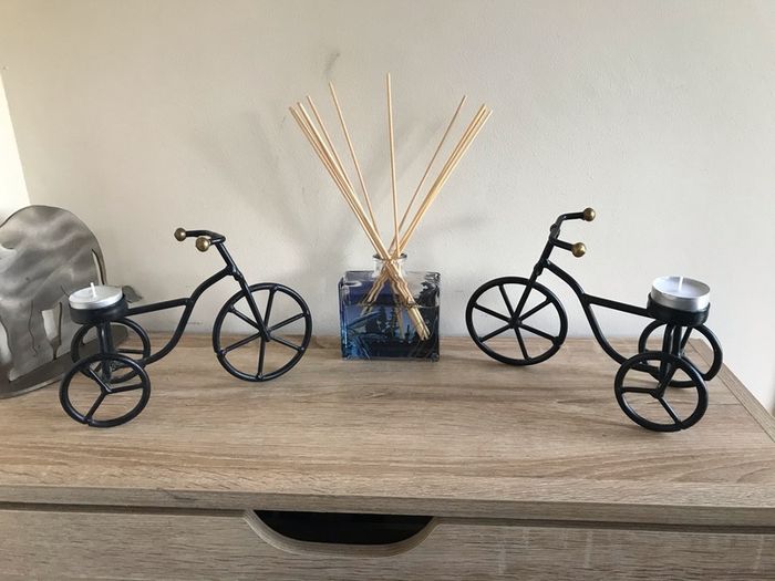 ornamental bike