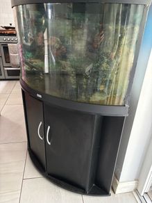 Juwel Trigon 190L Aquarium
