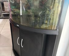 Juwel Trigon 190L Aquarium
