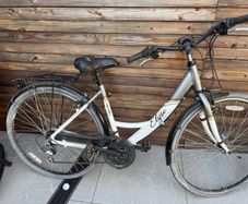 Ladies Bike